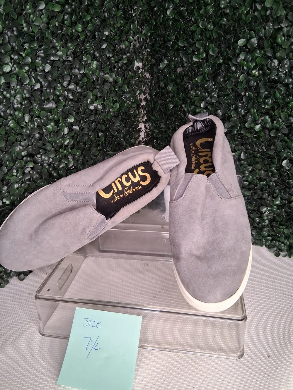 Circus by Sam Edelman Gray Suede Slip-On Sneakers